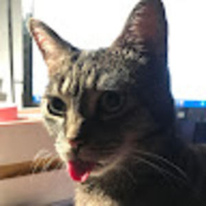 Meet your Posher, Auntie